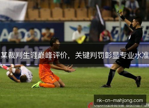 某裁判生涯巅峰评价，关键判罚彰显专业水准